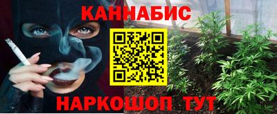 прущие грибы Ковров