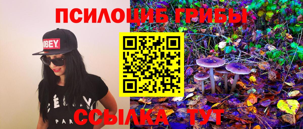 Белово  Псилоцибиновые грибы Magic Shrooms  Вход с VPN  Псилоцибиновые грибы GOLDEN TEACHER 