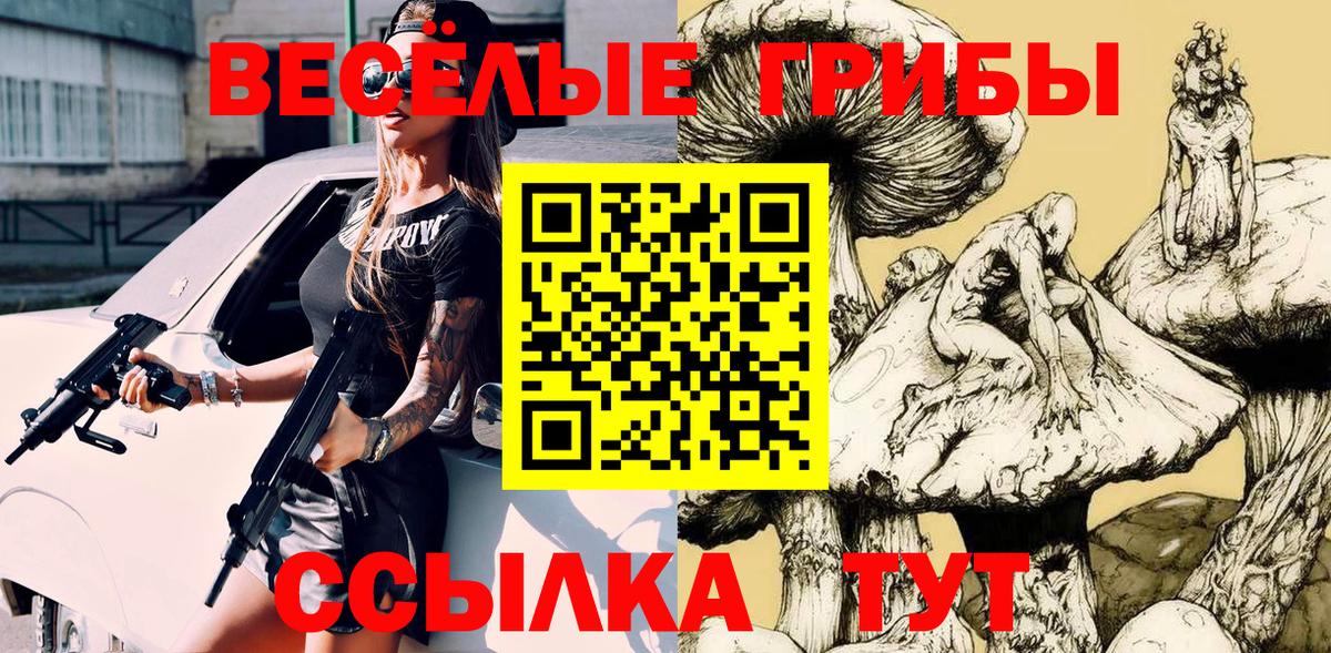 Псилоцибиновые грибы Psilocybine cubensis Белово